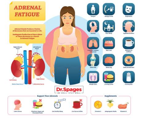 Adrenal Fatigue and How to Prevent It!